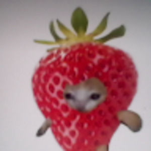 Meet your Posher, Aubrey